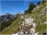 Uskovnica (Razpotje) - Planina pod Mišelj vrhom